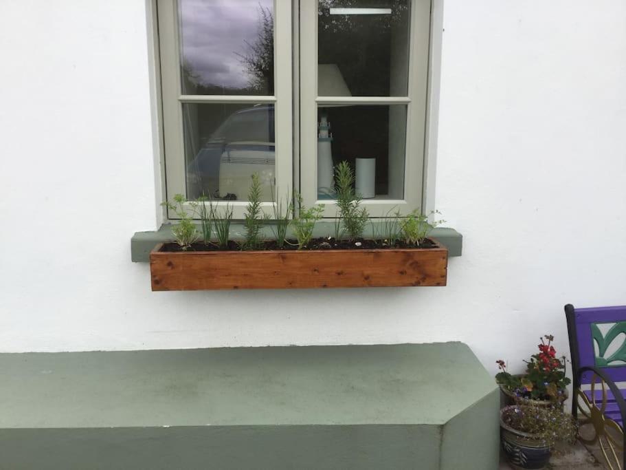 An Bothan-Cosy Cottage In The Cooley Mountains Dundalk Extérieur photo